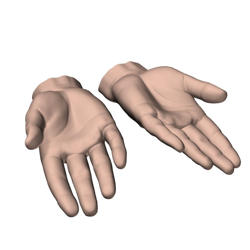 hands flat out 3D model_4