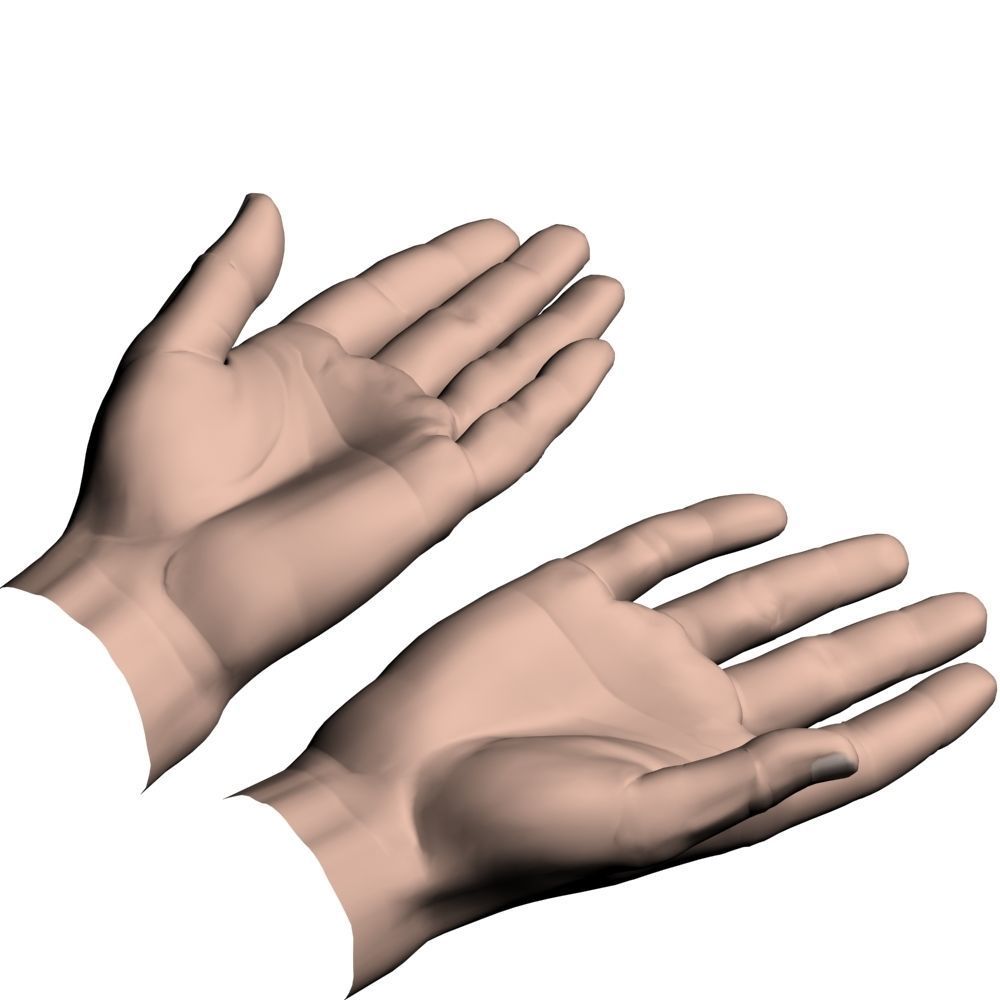 hands flat out 3D model_1