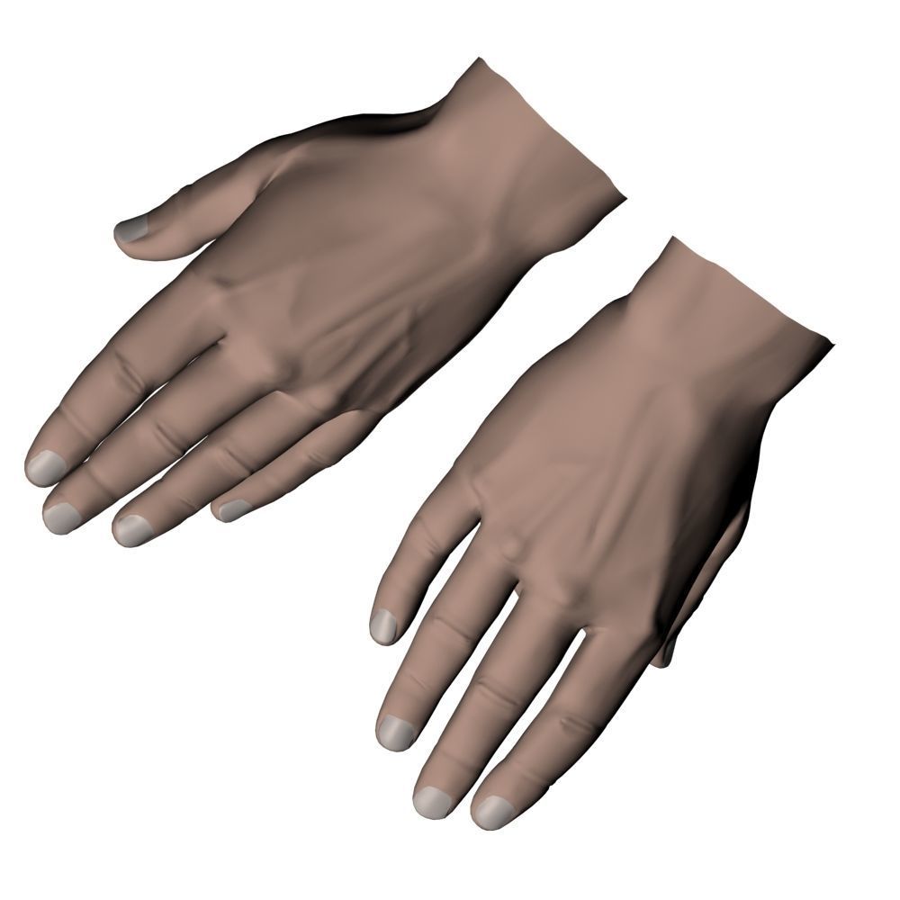 hands flat out 3D model_6