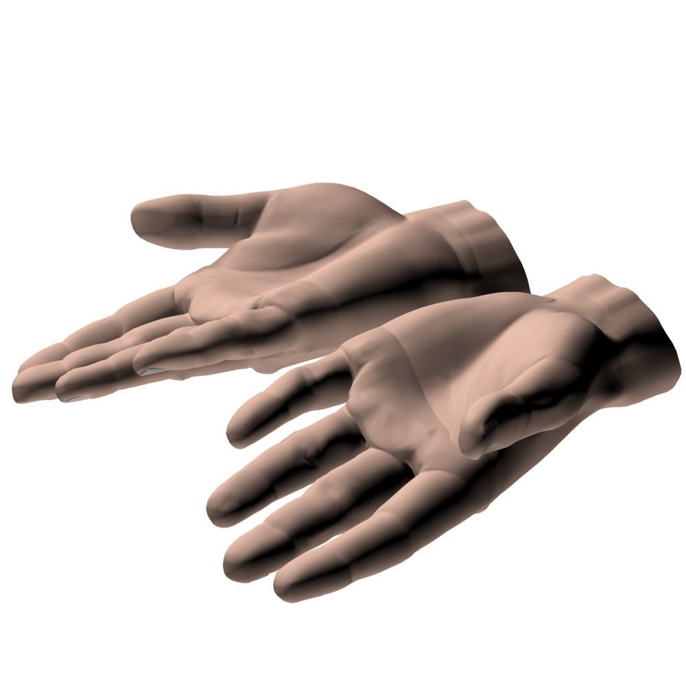 hands flat out 3D model_5