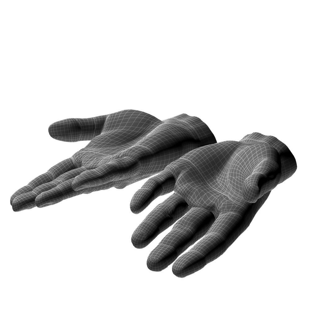 hands flat out 3D model_10