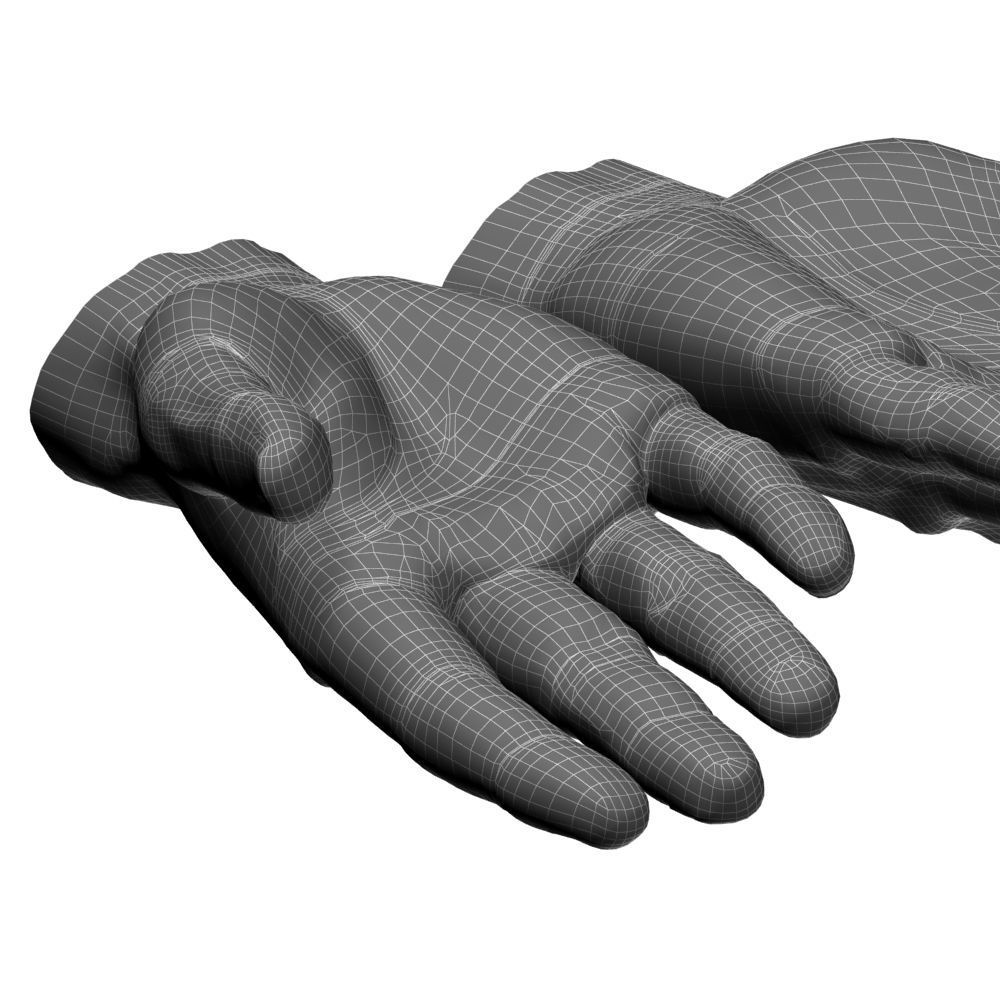 hands flat out 3D model_12