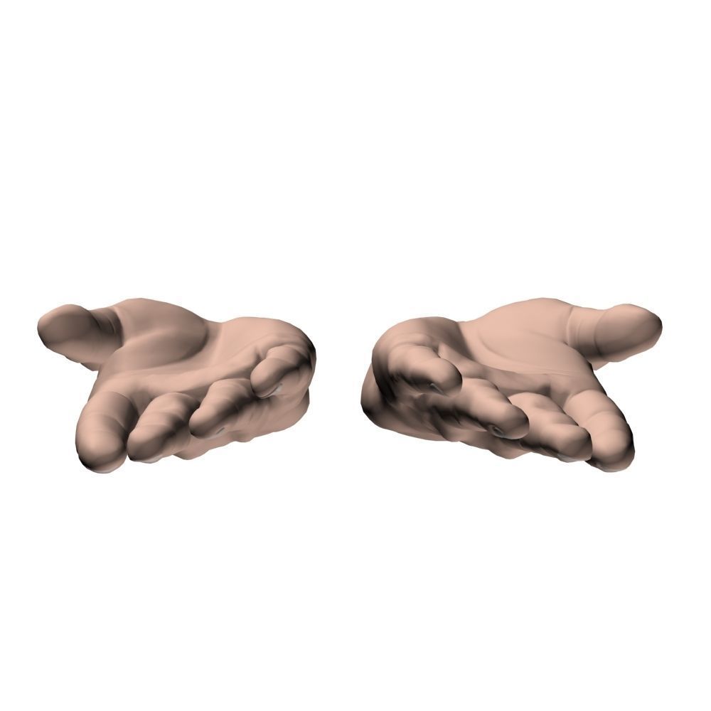 hands flat out 3D model_8