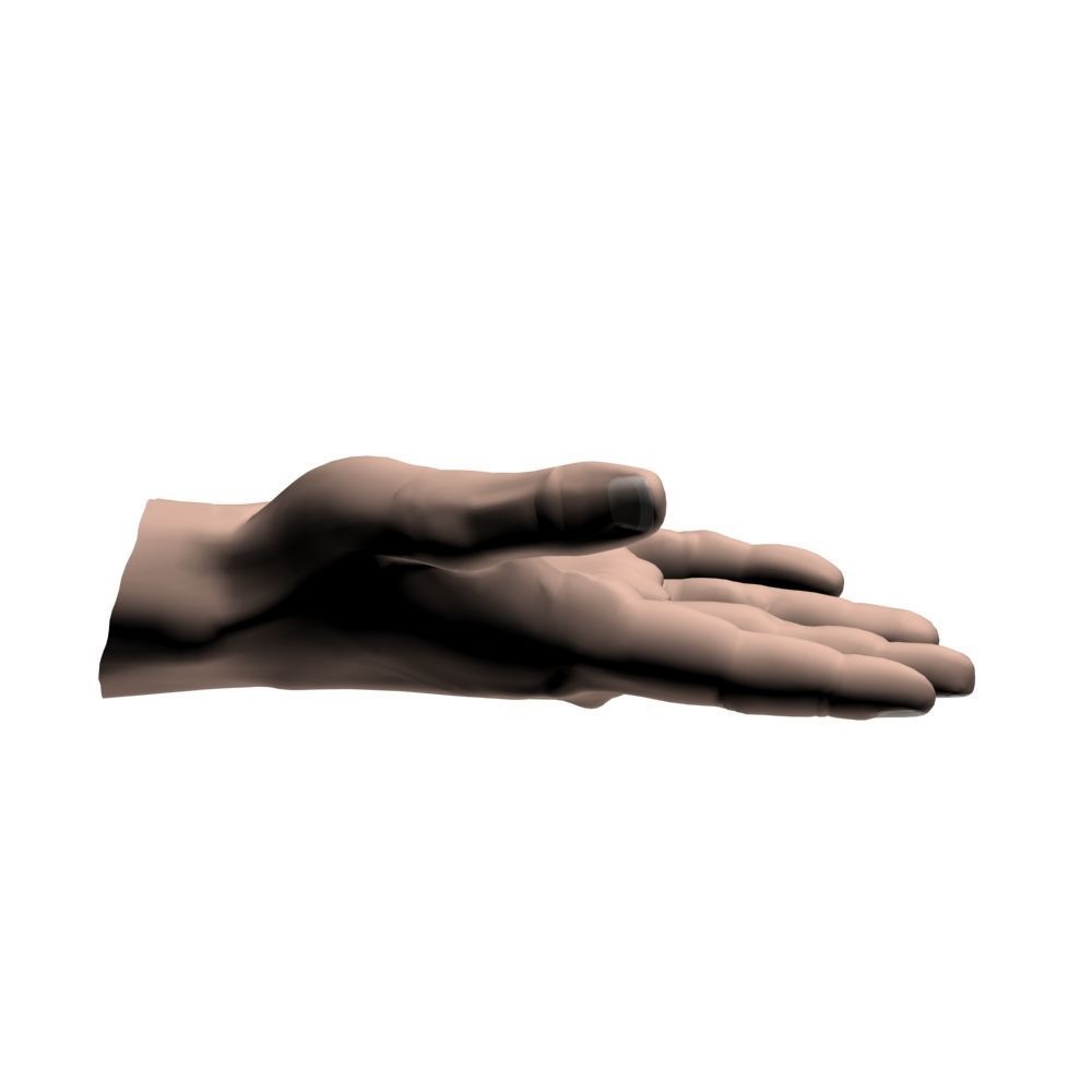 hands flat out 3D model_7