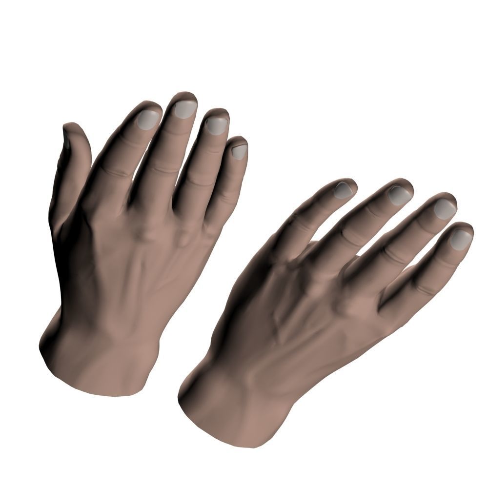 hands flat out 3D model_9