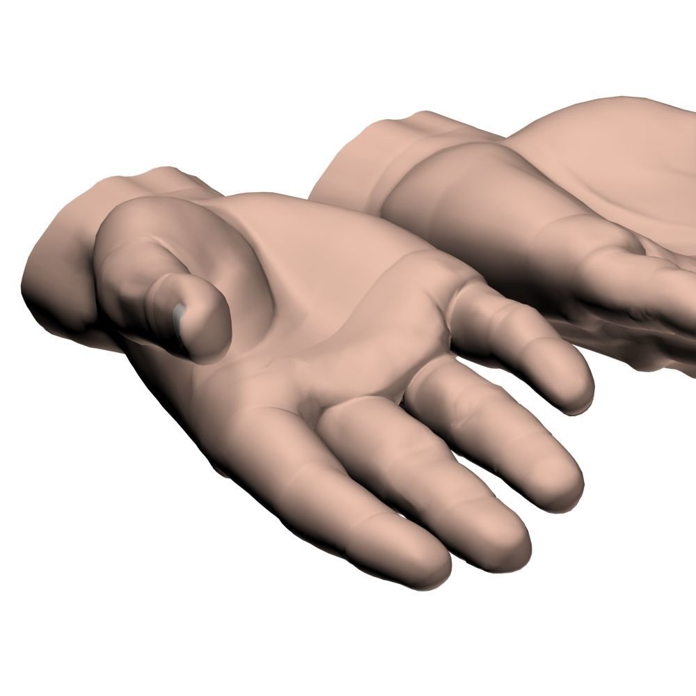hands flat out 3D model_2