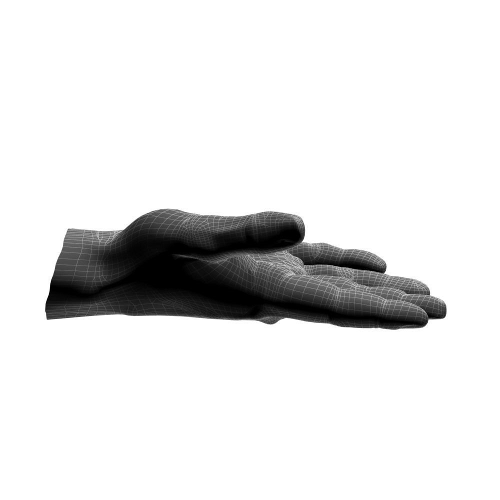 hands flat out 3D model_19