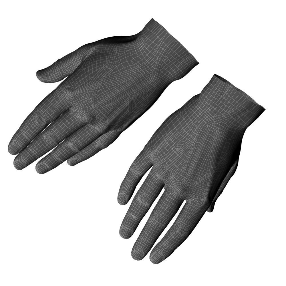 hands flat out 3D model_16