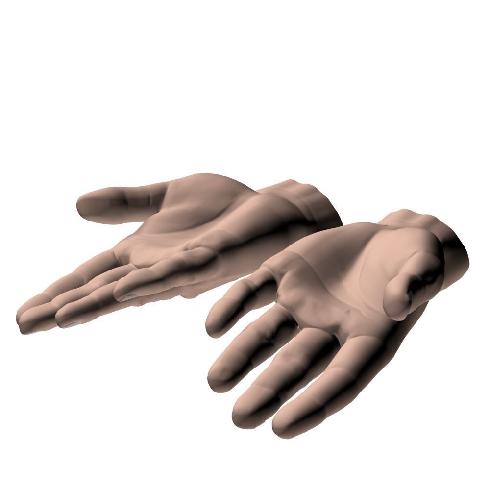 hands flat out 3D model_3