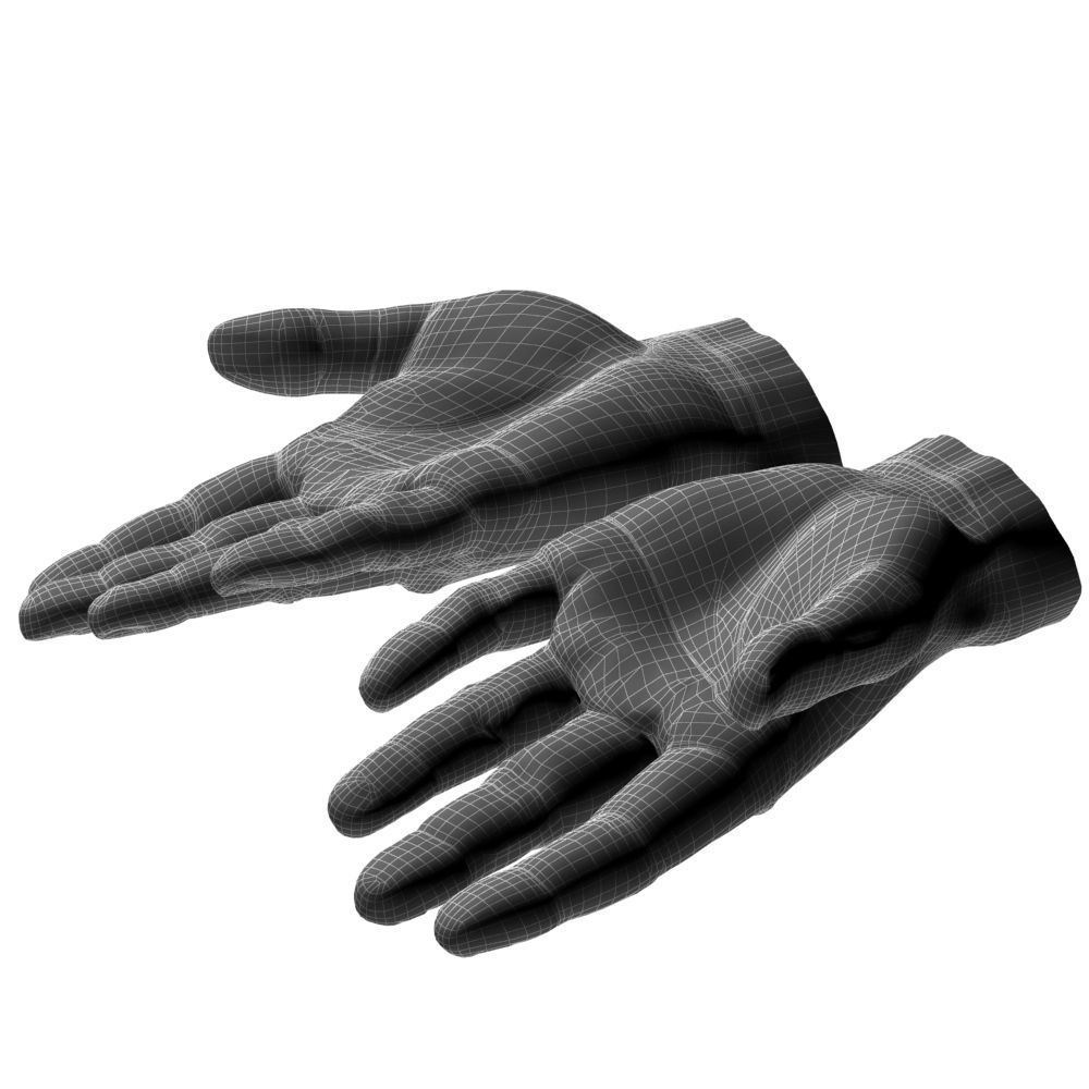 hands flat out 3D model_14