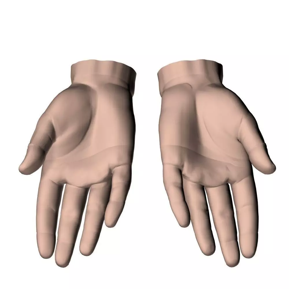 hands flat out 3D model_0