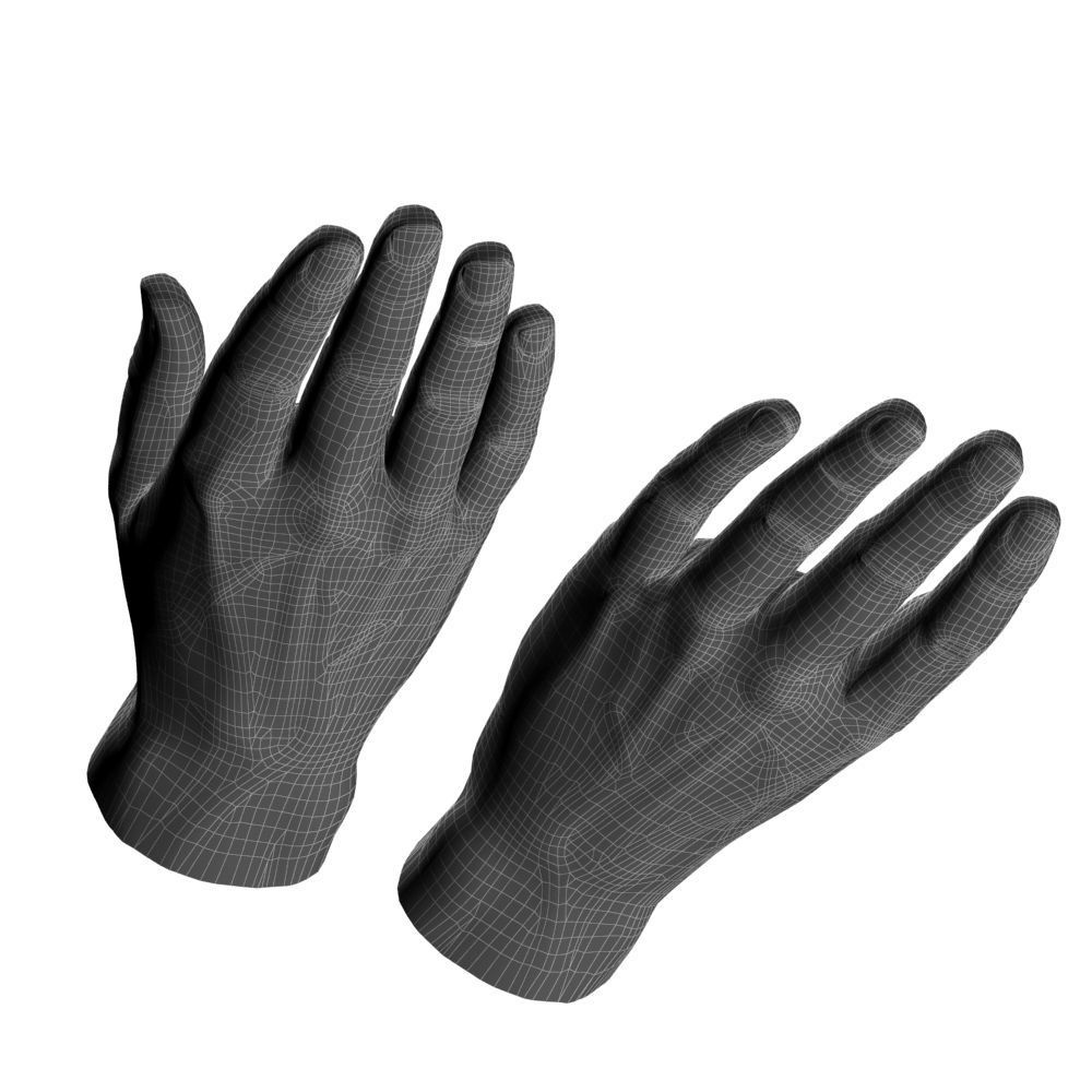 hands flat out 3D model_17