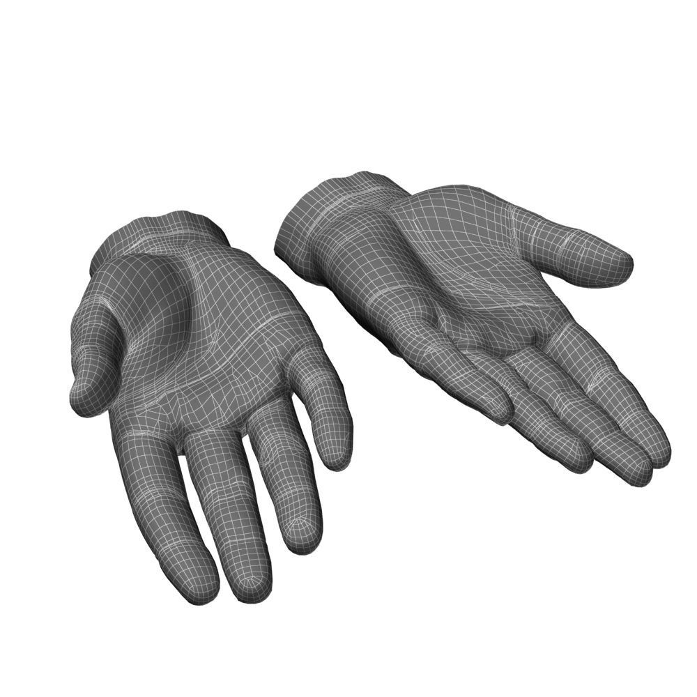 hands flat out 3D model_13