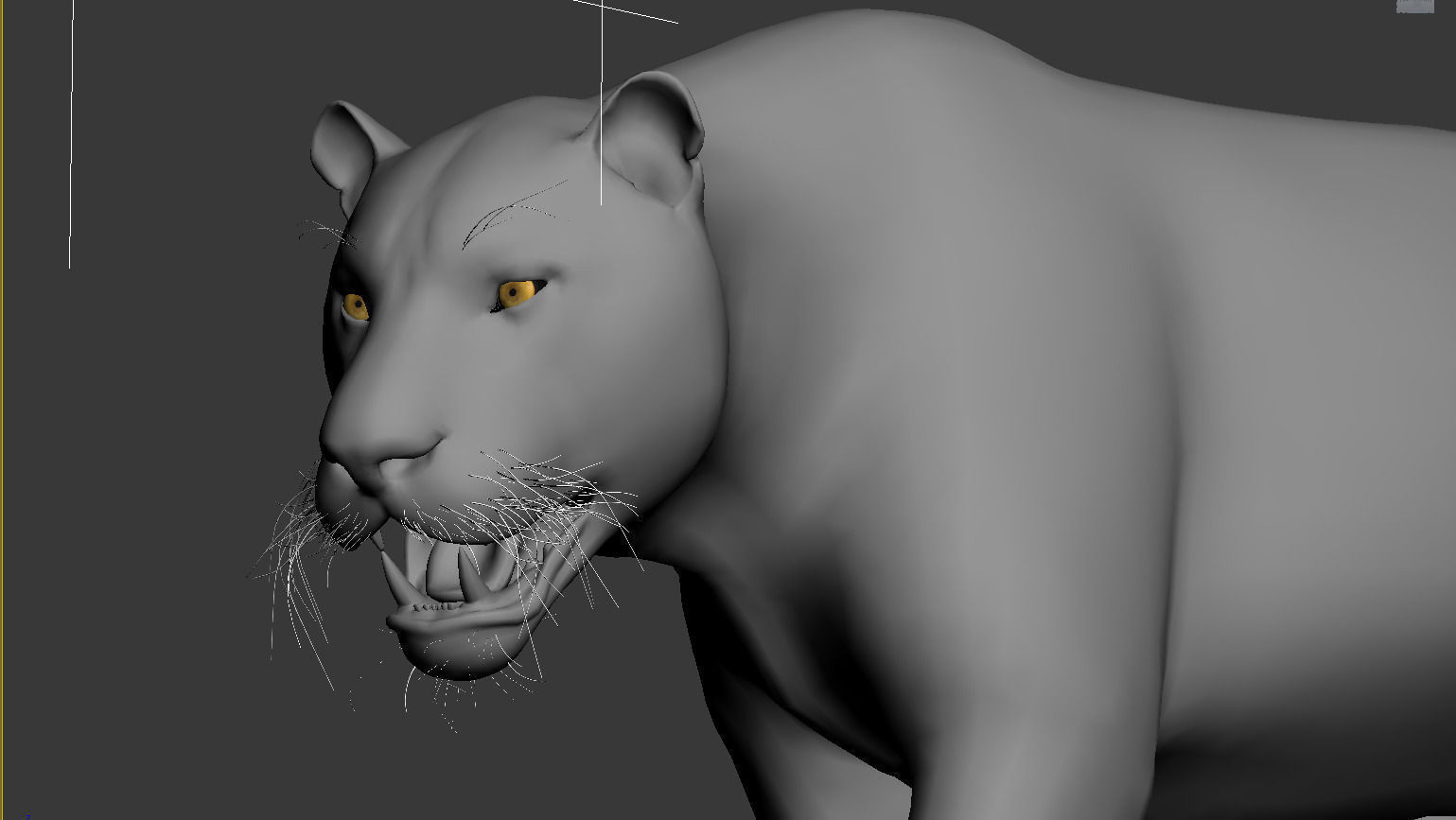 Tiger 3D model_5