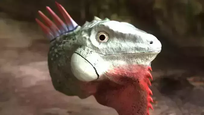 IGUANA HEAD