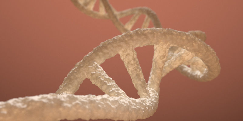 DNA Double Helix 3D model 3D model_4