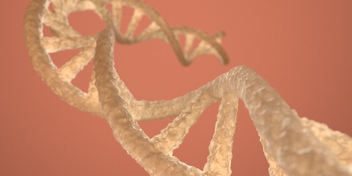 DNA Double Helix 3D model 3D model_1