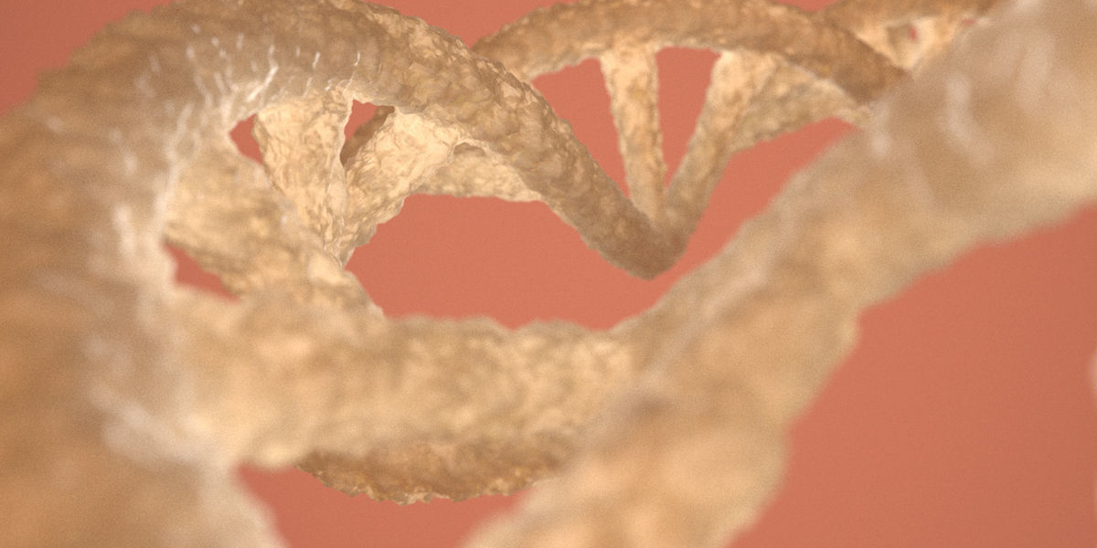 DNA Double Helix 3D model 3D model_2