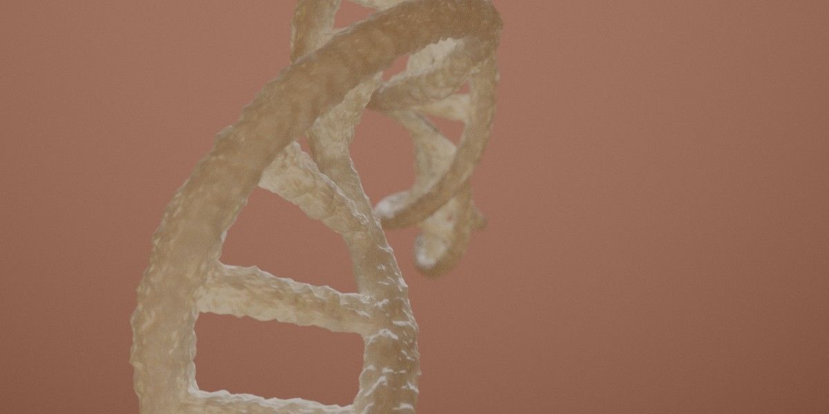 DNA Double Helix 3D model 3D model_3