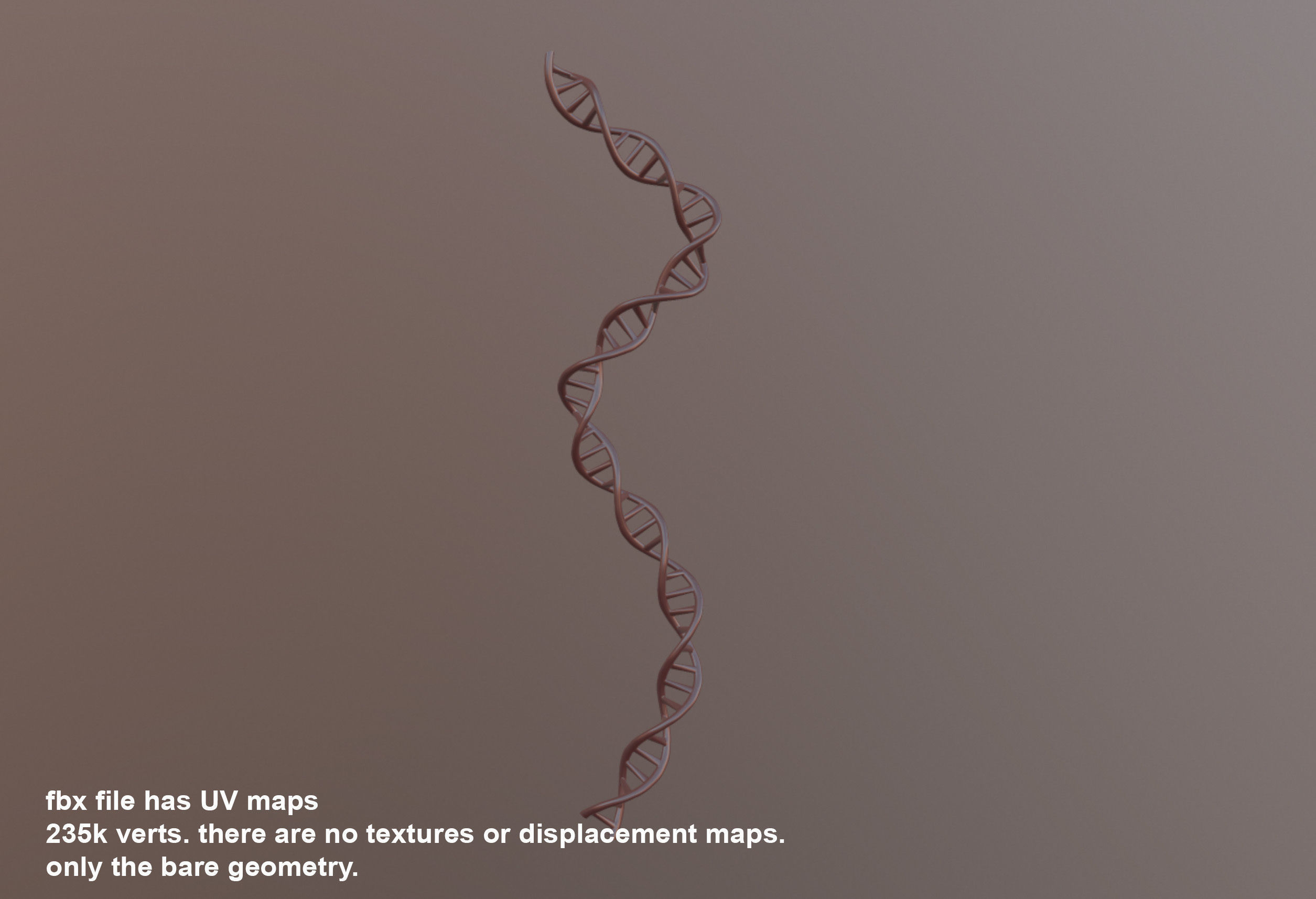 DNA Double Helix 3D model 3D model_7