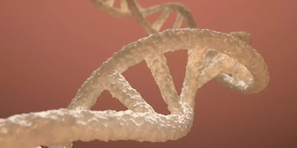 DNA Double Helix 3D model 3D model_0