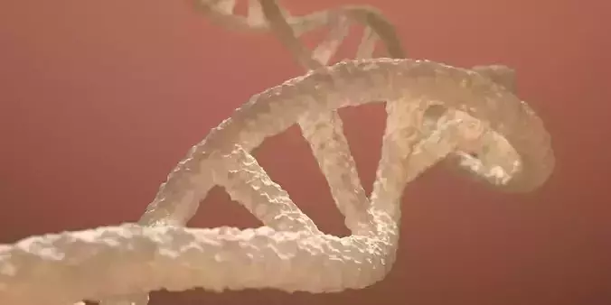 DNA Double Helix 3D model 3D model