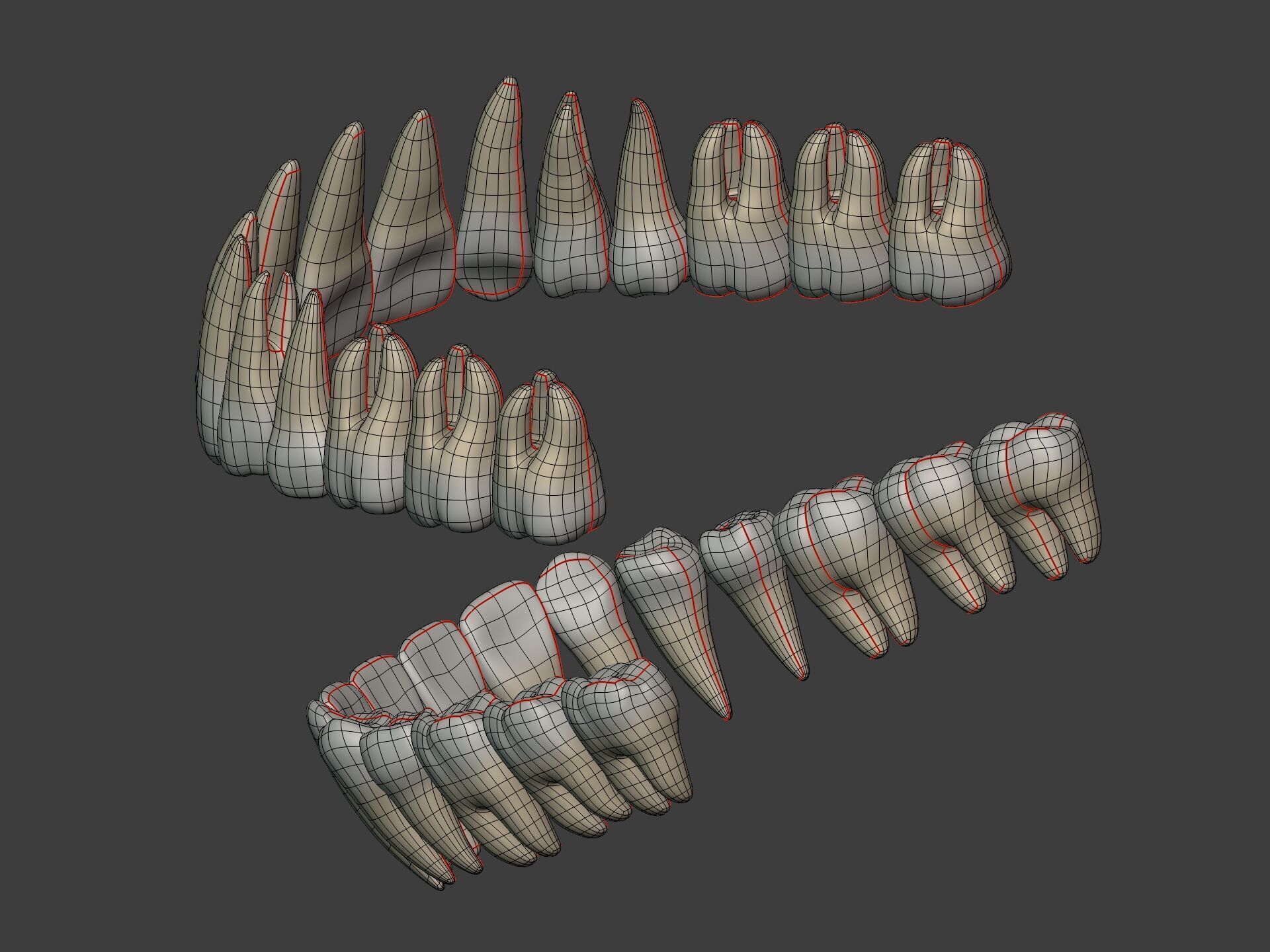 Lips - Mouth - Teeth - Human Anatomy -- Rigged Low-poly 3D model_19