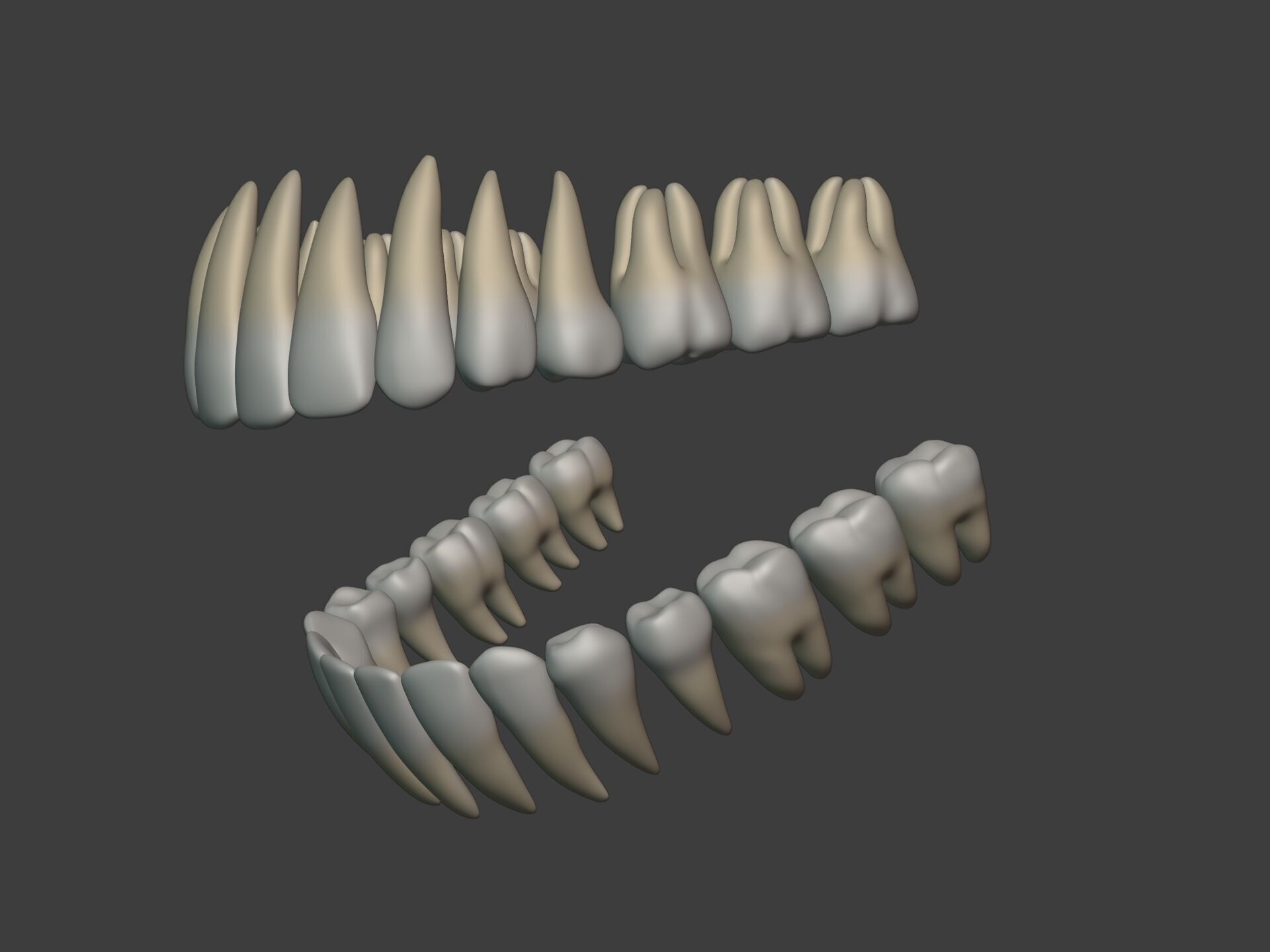 Lips - Mouth - Teeth - Human Anatomy -- Rigged Low-poly 3D model_10