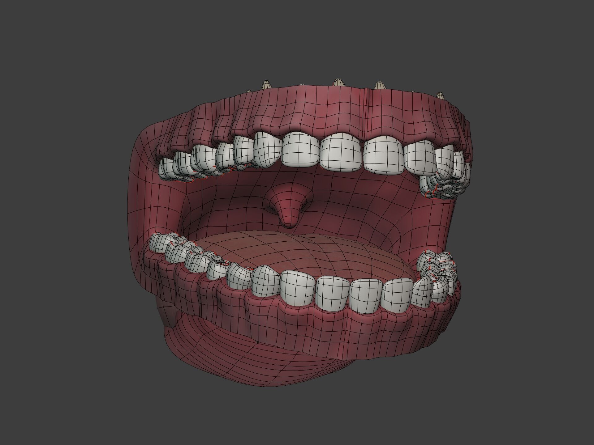 Lips - Mouth - Teeth - Human Anatomy -- Rigged Low-poly 3D model_12