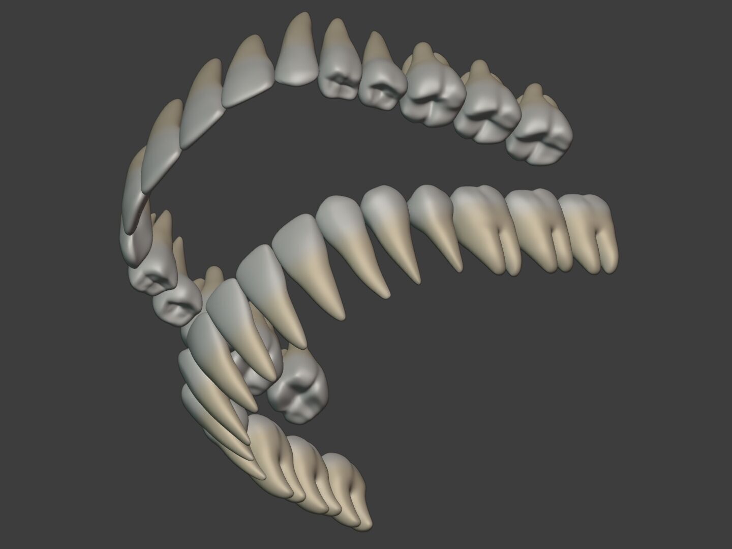 Lips - Mouth - Teeth - Human Anatomy -- Rigged Low-poly 3D model_22