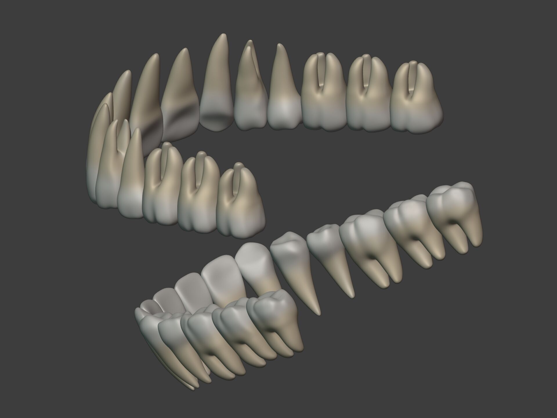 Lips - Mouth - Teeth - Human Anatomy -- Rigged Low-poly 3D model_18