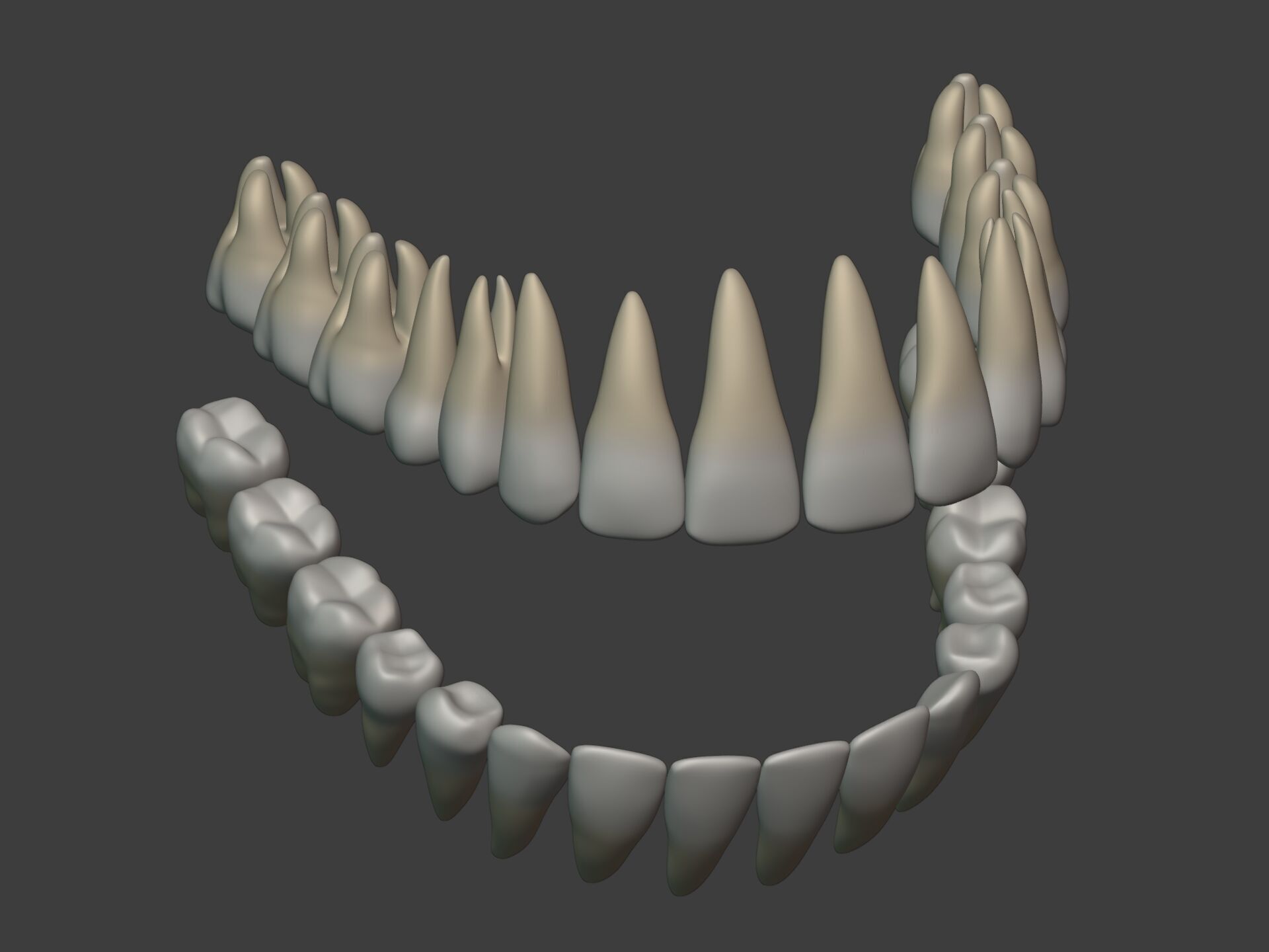 Lips - Mouth - Teeth - Human Anatomy -- Rigged Low-poly 3D model_21