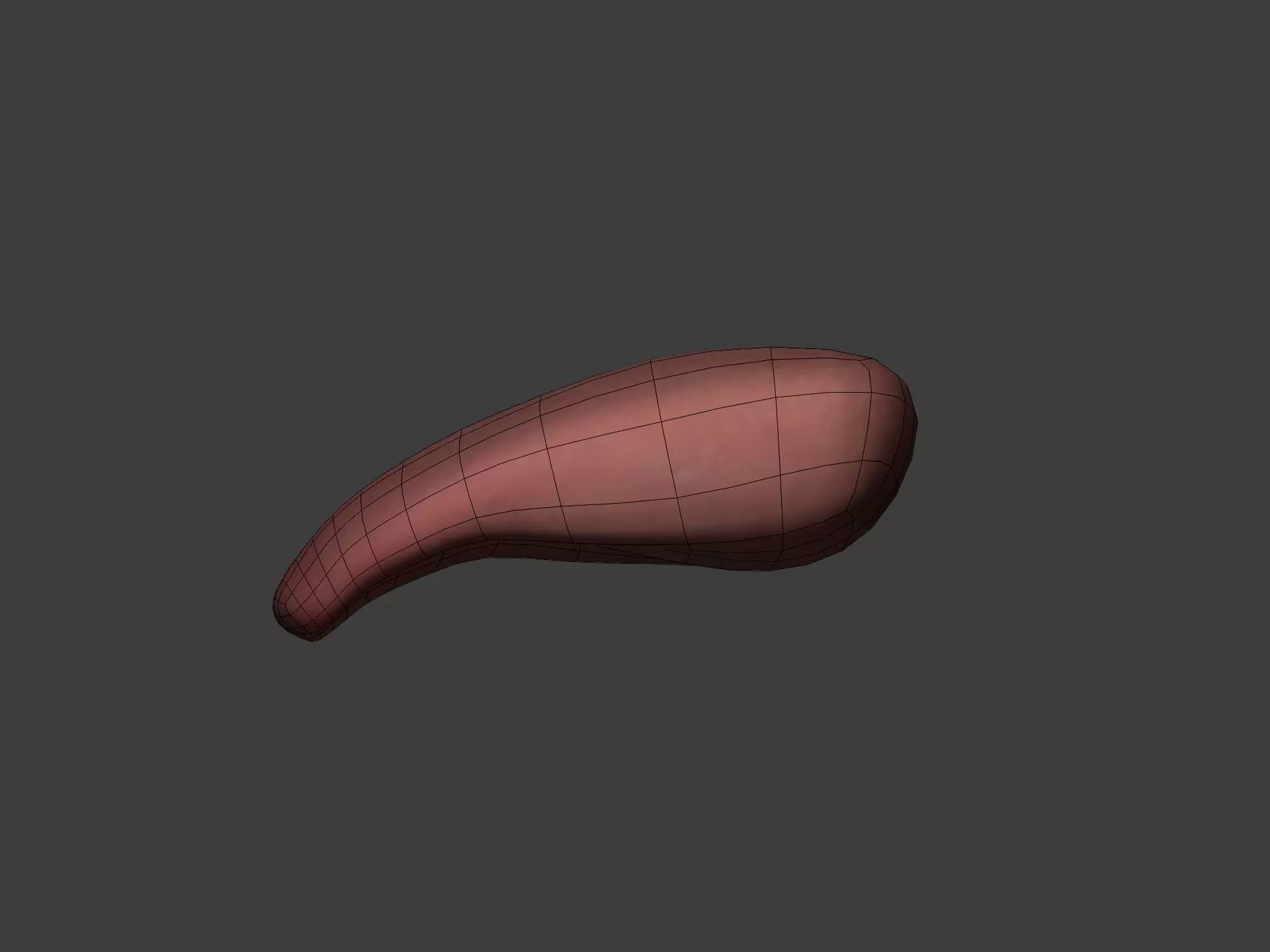 Lips - Mouth - Teeth - Human Anatomy -- Rigged Low-poly 3D model_17