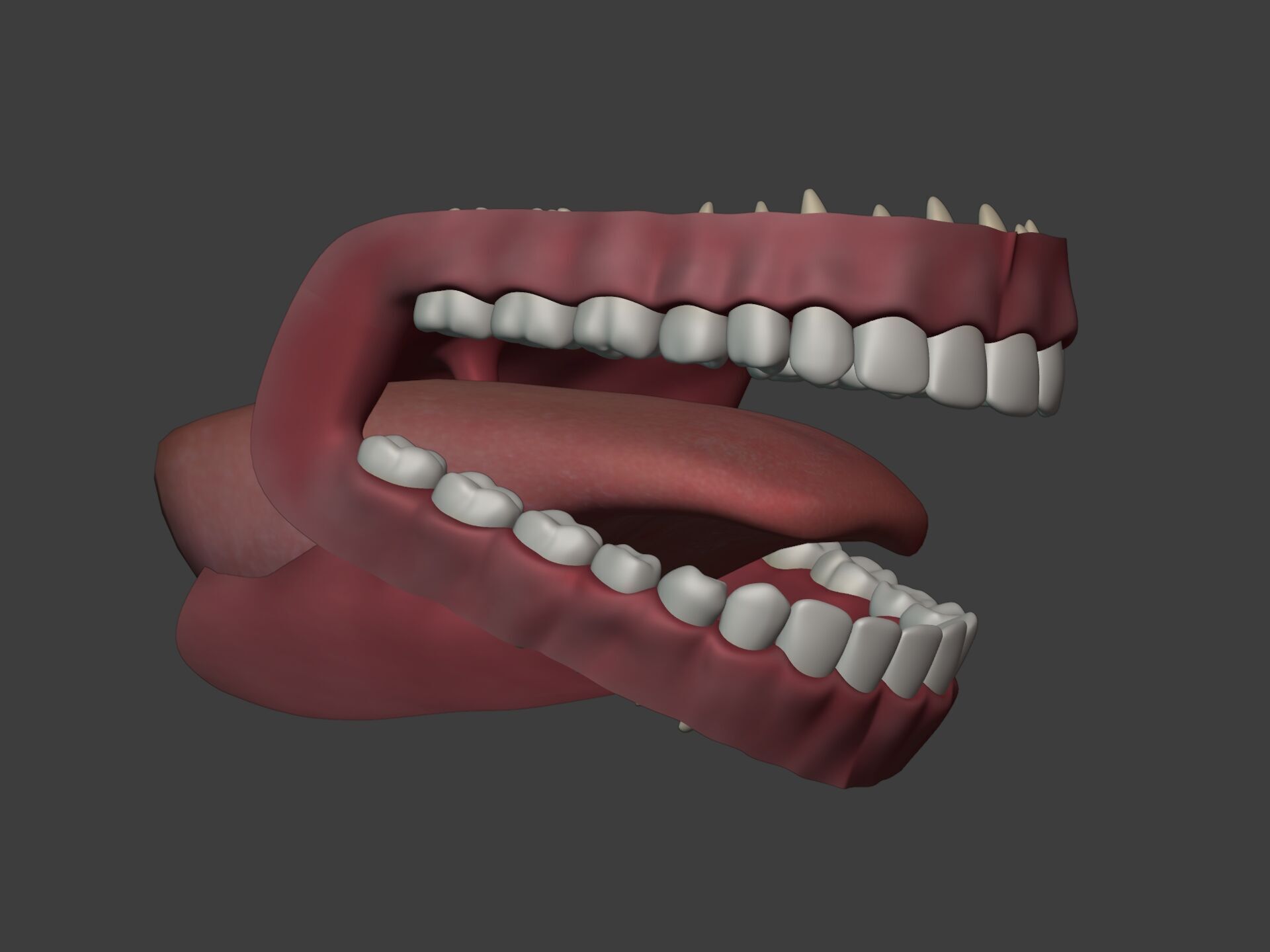Lips - Mouth - Teeth - Human Anatomy -- Rigged Low-poly 3D model_9