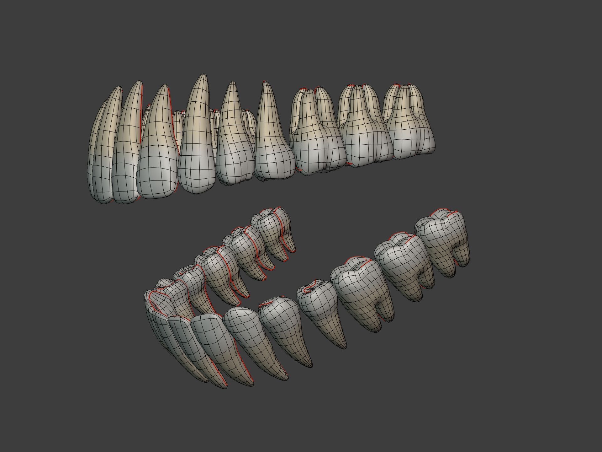 Lips - Mouth - Teeth - Human Anatomy -- Rigged Low-poly 3D model_13