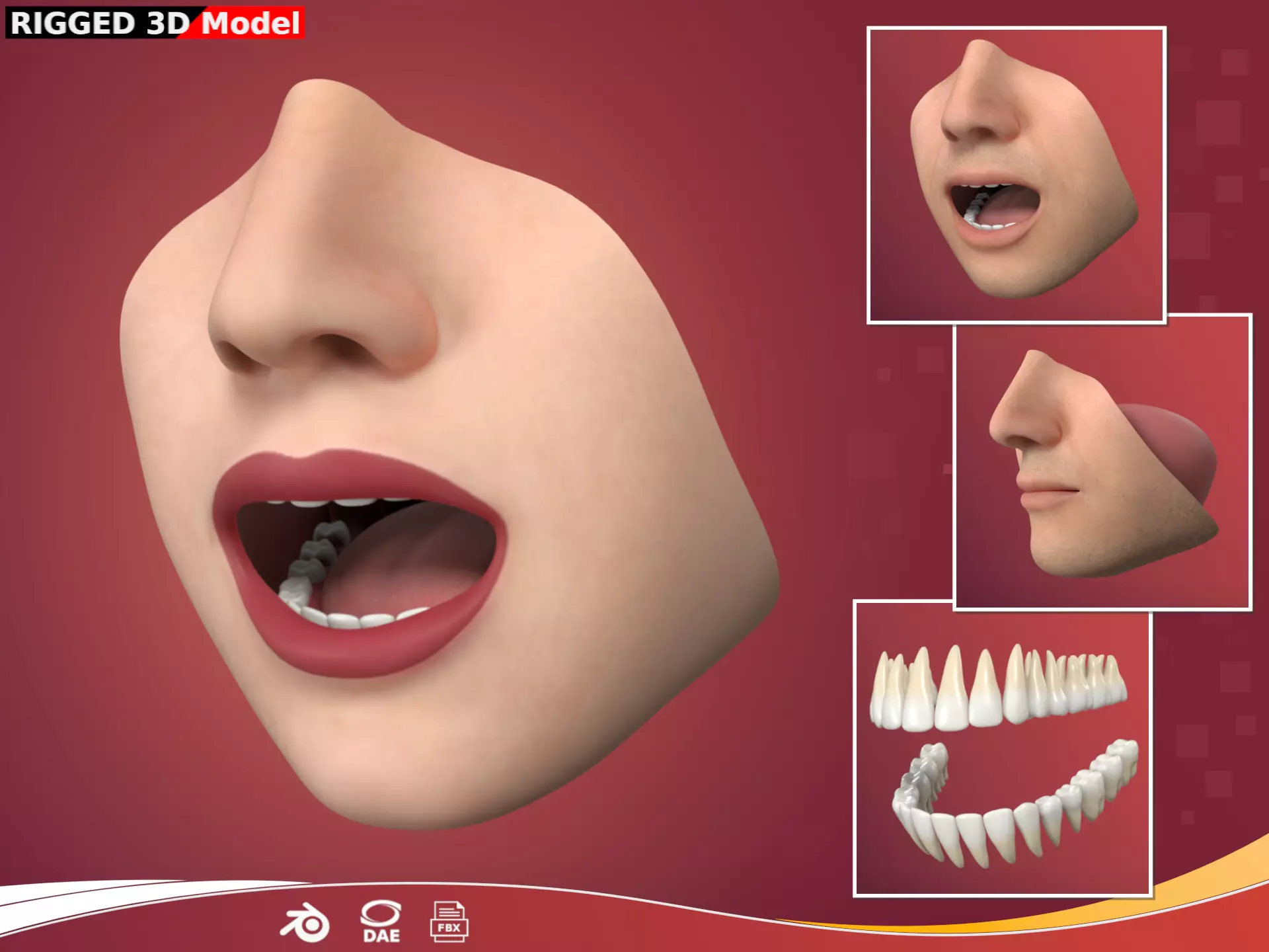 Lips - Mouth - Teeth - Human Anatomy -- Rigged Low-poly 3D model_0