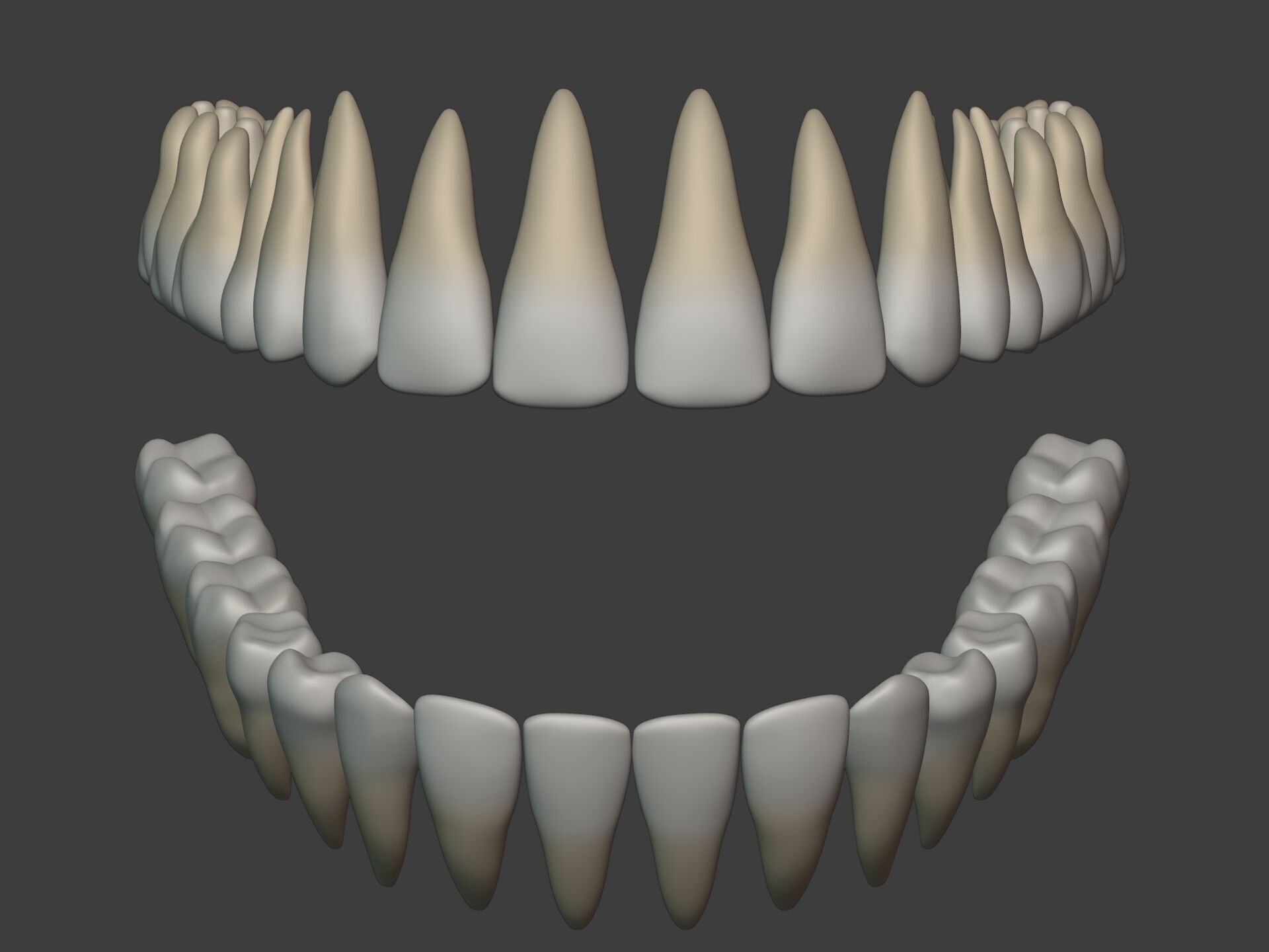 Lips - Mouth - Teeth - Human Anatomy -- Rigged Low-poly 3D model_20