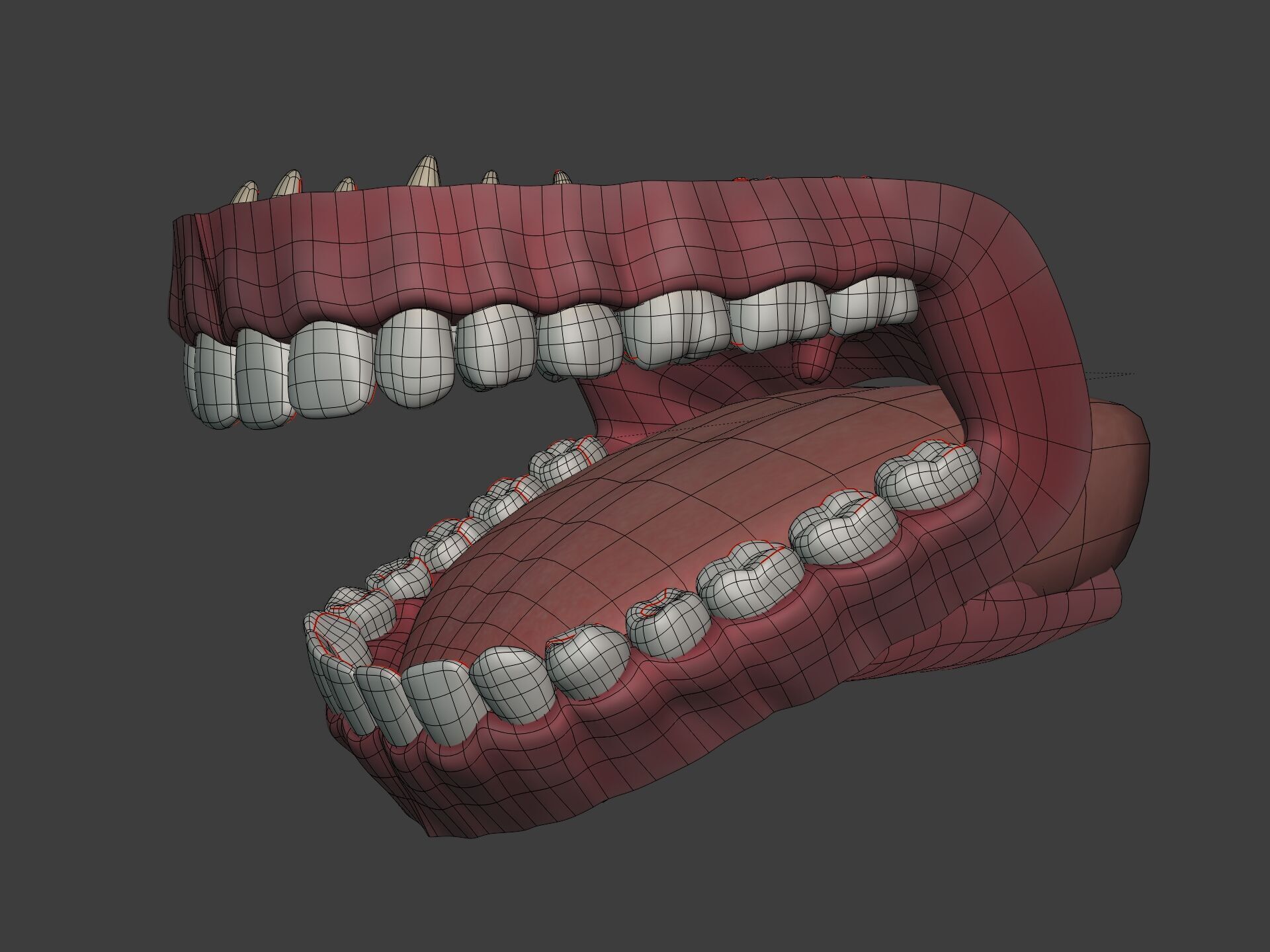 Lips - Mouth - Teeth - Human Anatomy -- Rigged Low-poly 3D model_15