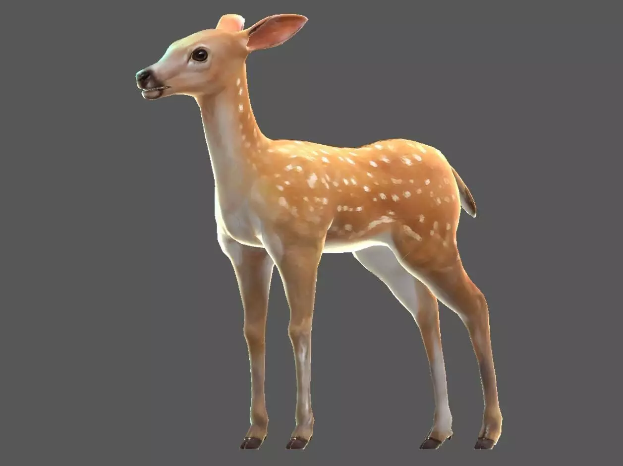 Sika deer Elk Water deer Low-poly 3D model
