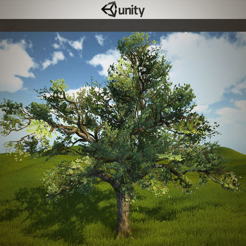 Tree oak with LOD Low-poly 3D model