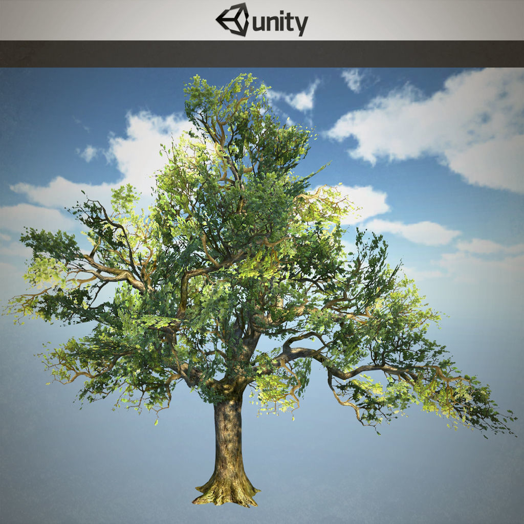 Tree oak with LOD Low-poly 3D model_7