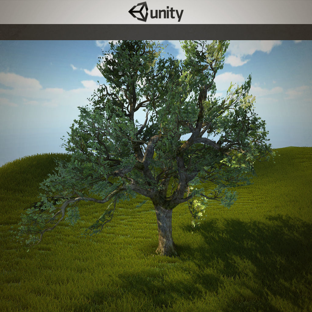 Tree oak with LOD Low-poly 3D model_4