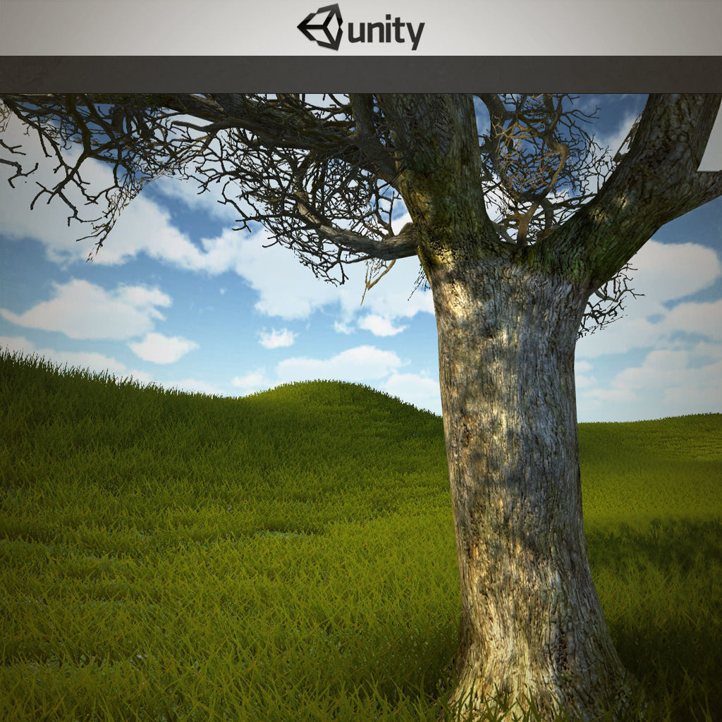 Tree oak with LOD Low-poly 3D model_3