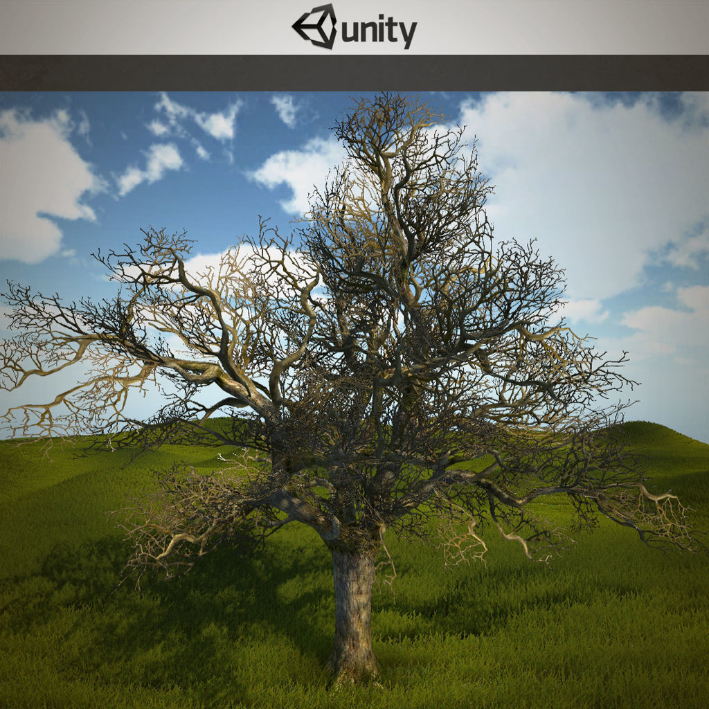 Tree oak with LOD Low-poly 3D model_1