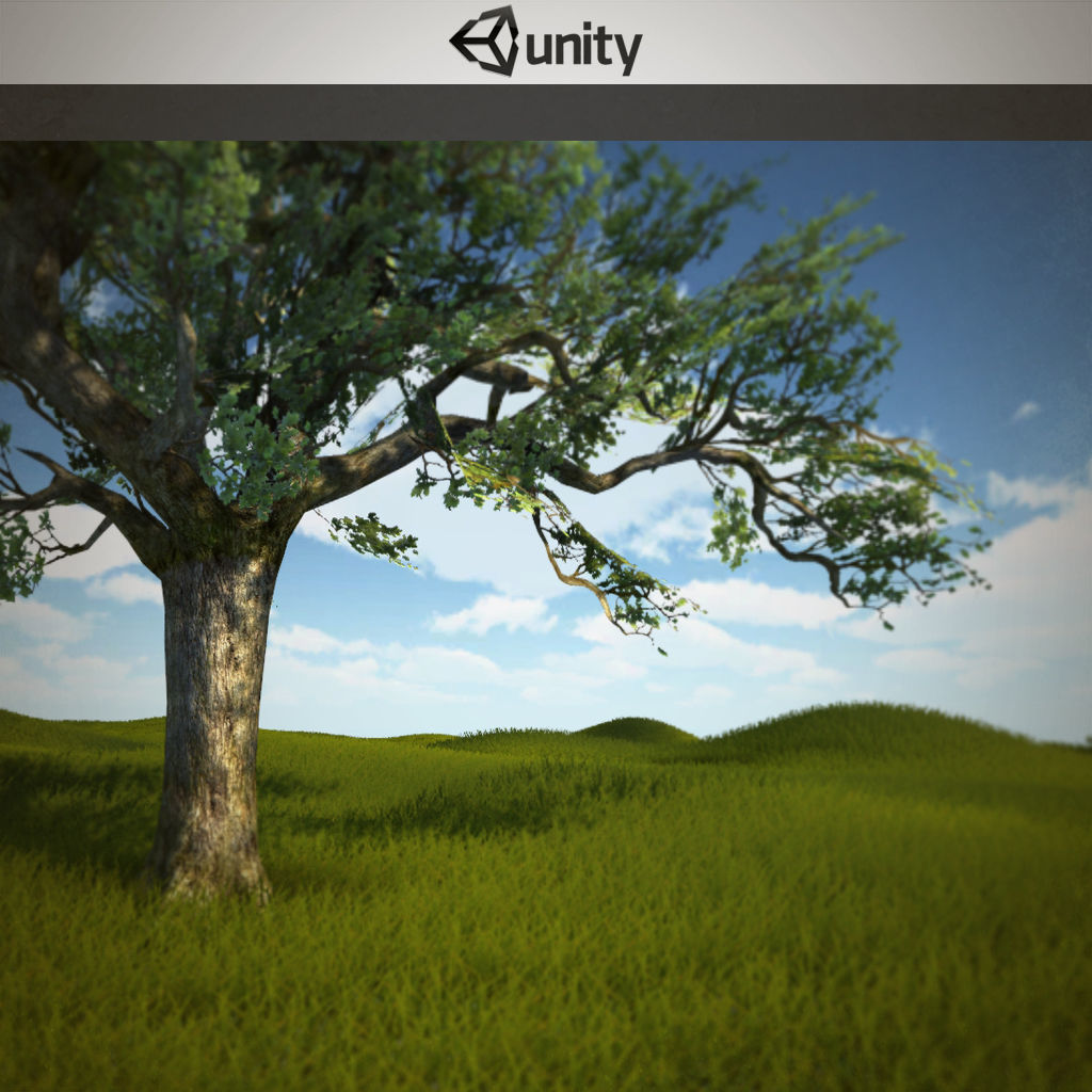 Tree oak with LOD Low-poly 3D model_2