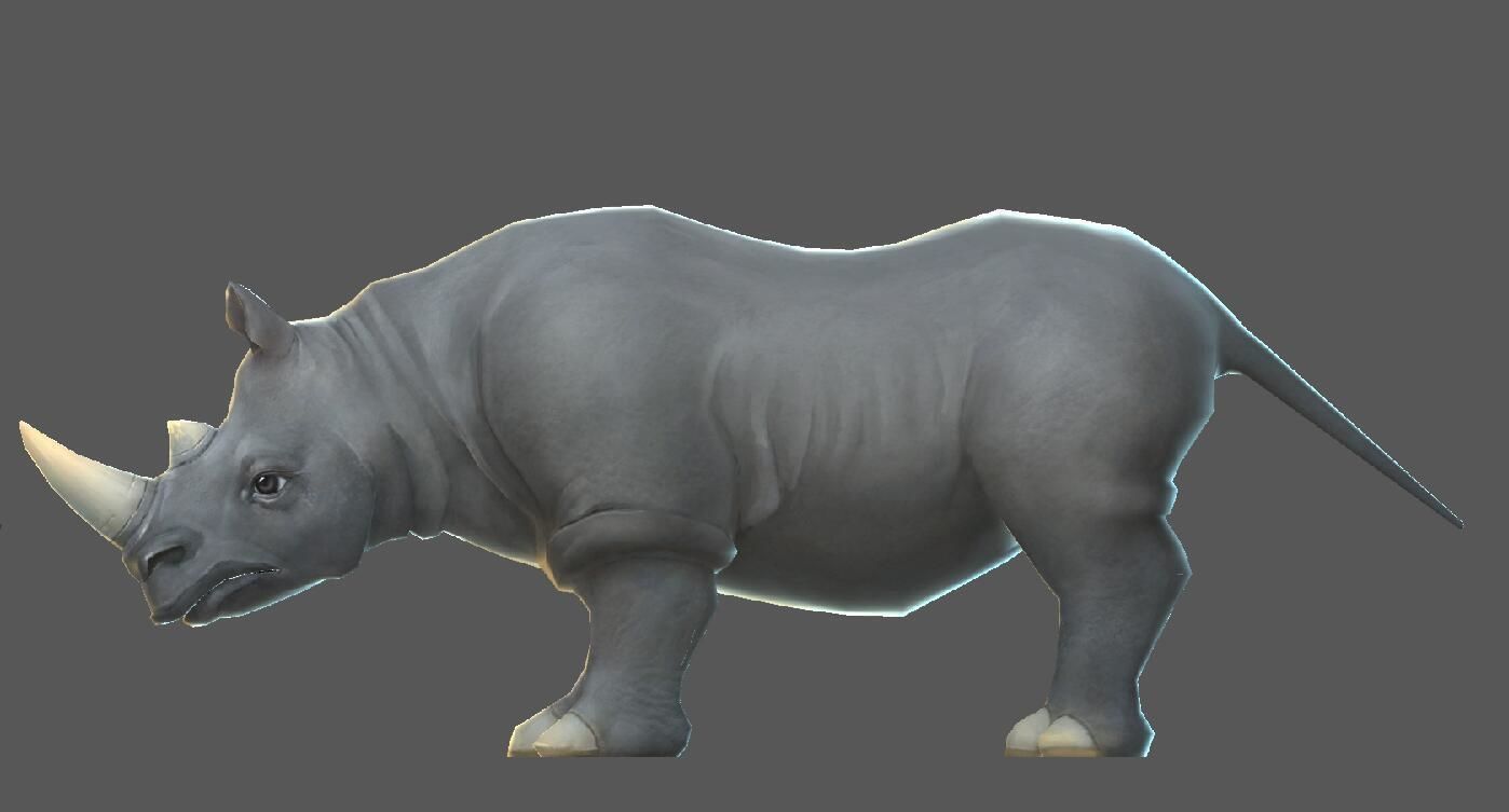 Rhinoceros   cattle Low-poly 3D model_6