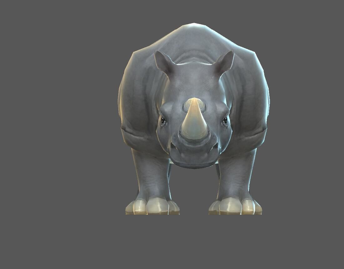 Rhinoceros   cattle Low-poly 3D model_1