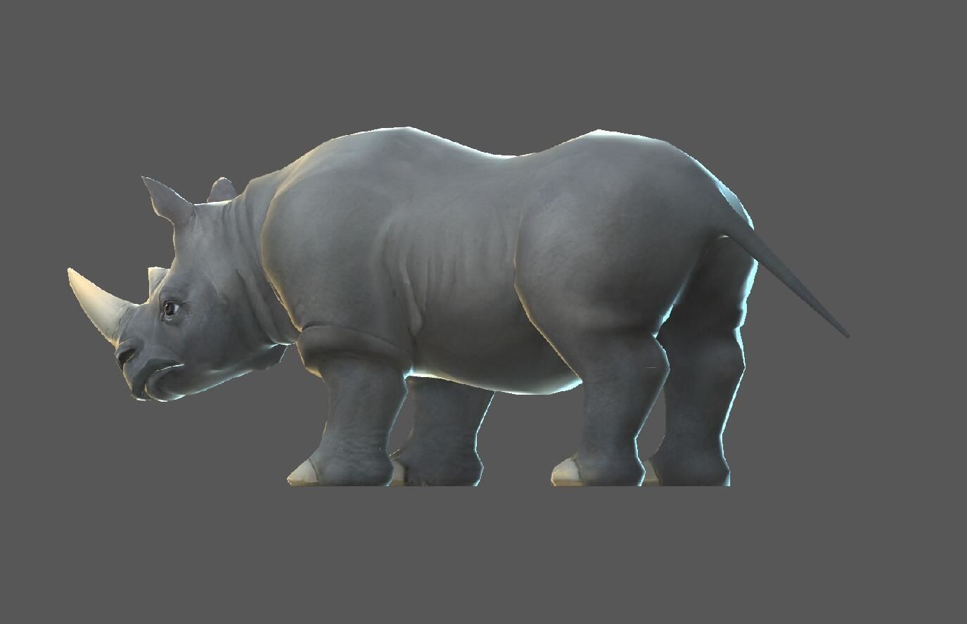 Rhinoceros   cattle Low-poly 3D model_5