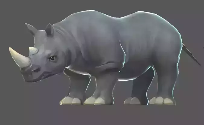 Rhinoceros   cattle