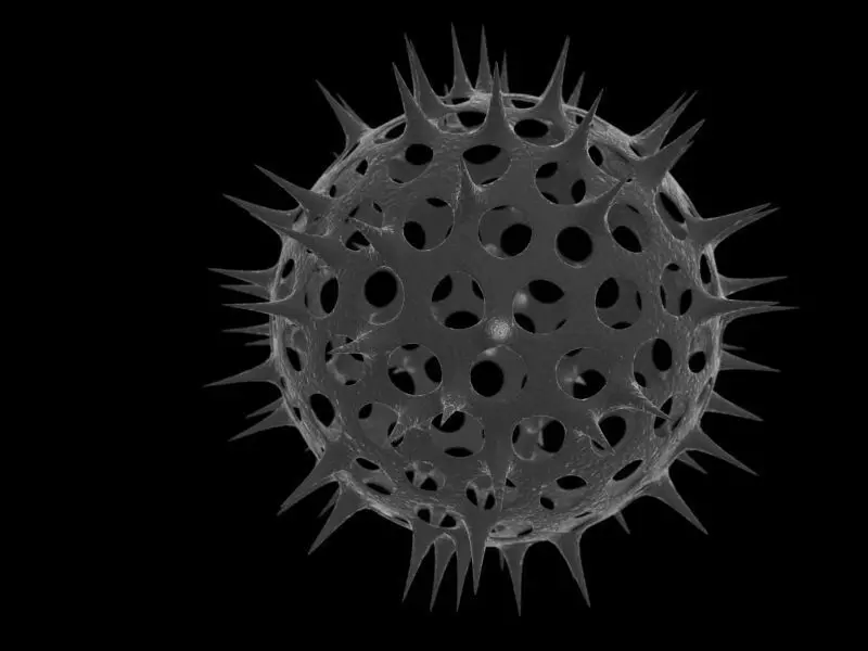 Spherical virus 3D model_0